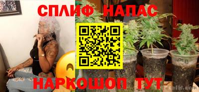 дмт Малгобек