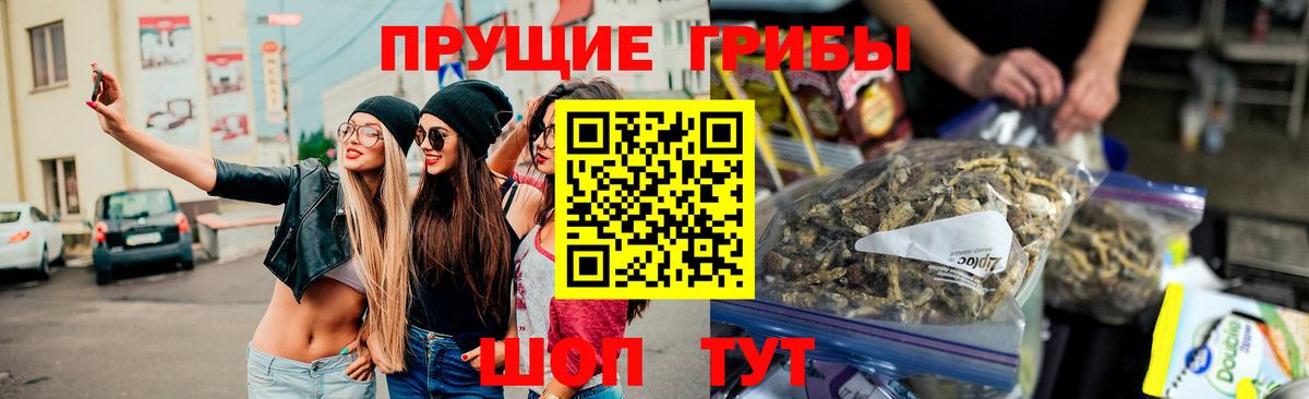 Галлюциногенные грибы мухоморы  Галлюциногенные грибы GOLDEN TEACHER  Дедовск  Вход с VPN 
